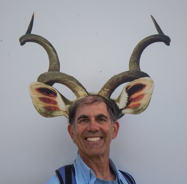 bob as antelope